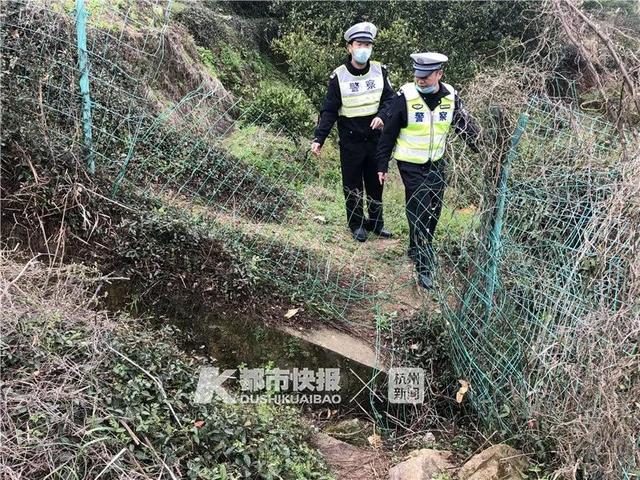 浙江五個(gè)婦女結(jié)伴橫穿高速挖野菜,年輕司機(jī)“生死避讓”撞上護(hù)欄……